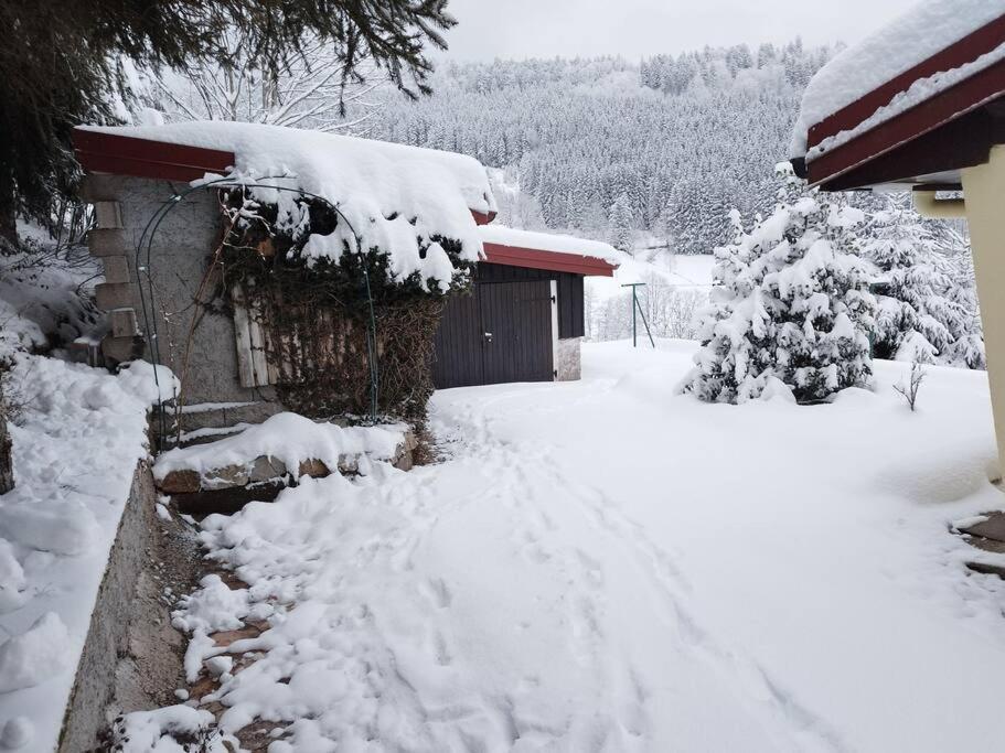 Maison De Montagne Vue Magnifique Ventron Extérieur photo