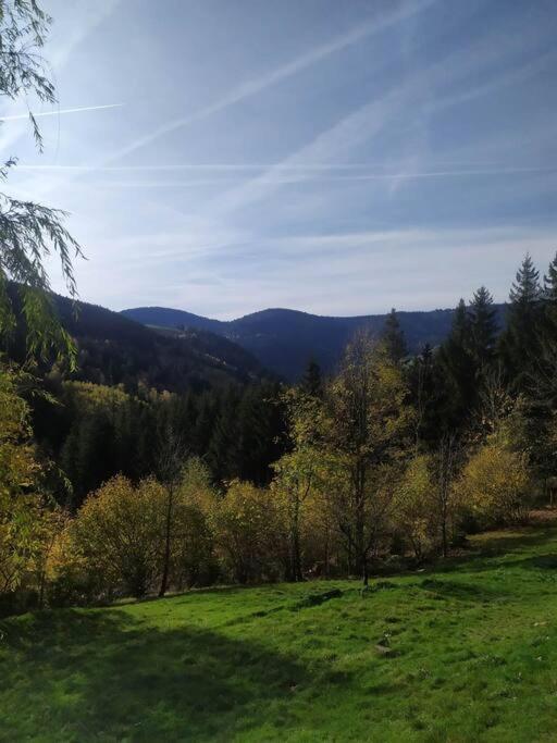 Maison De Montagne Vue Magnifique Ventron Extérieur photo