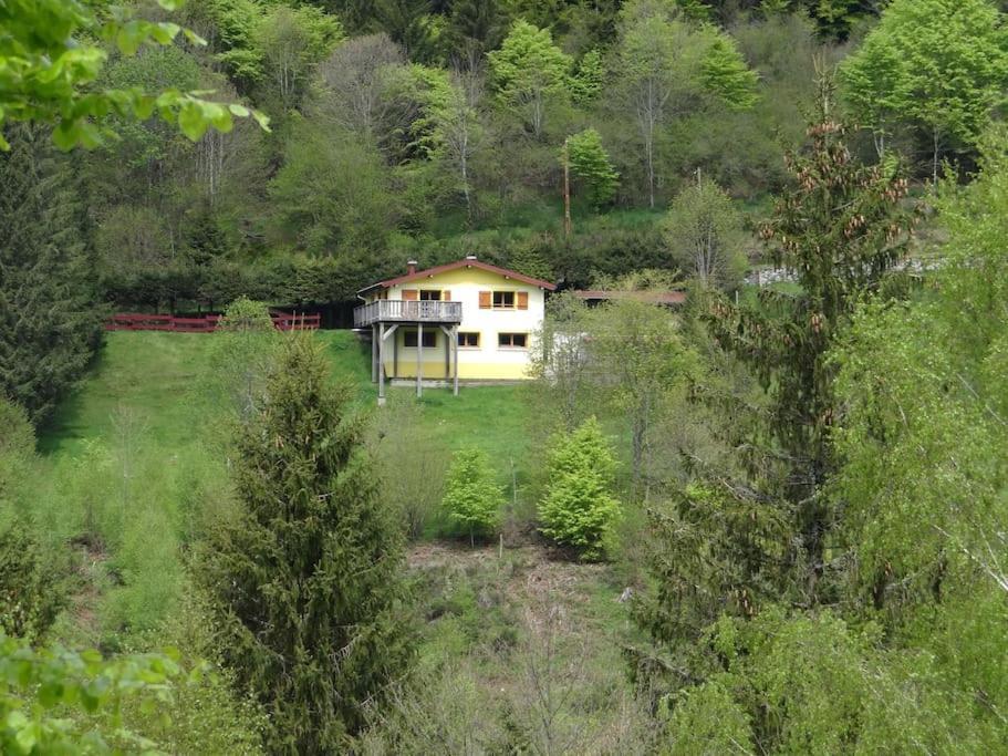 Maison De Montagne Vue Magnifique Ventron Extérieur photo
